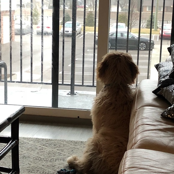 Profile Picture of Josh Lancaster (@jlancas3) on Poshmark