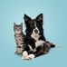 Profile Picture of David Brau (@David-Brau) on Facebook