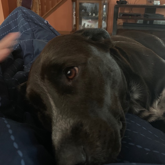 Profile Picture of Philip Wuertz (@philip4311) on Poshmark