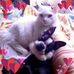 Profile Picture of Lillian Carreon (@lillian.carreon.9) on Facebook