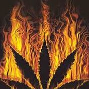 Profile Picture of Gabriel Clifford (@gabriel.clifford.12) on Facebook