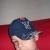 Profile Picture of Pedro Forte (@324968801) on Myspace