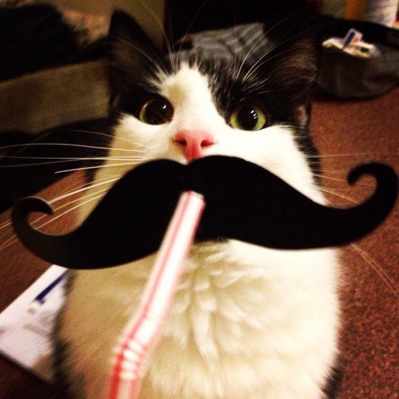 Profile Picture of Carolyn Trauner (@carolyntrauner) on Poshmark