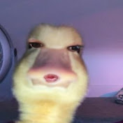 Profile Picture of Dani Acosta (@daniacosta3100) on Youtube