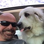 Profile Picture of Stephen Flannery (@spflannery) on Instagram