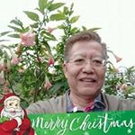 Profile Picture of Anthony Chong (@anthony.chong.370) on Instagram