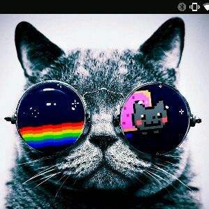 Profile Picture of jesse zimmer (@jesse12345zimmer) on Tiktok