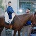Profile Picture of Manuel Olmedo Fernandez (@manuel.olmedofernandez) on Facebook