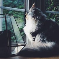 Profile Picture of Jamie Hobbs (@jamie-hobbs-15) on Quora