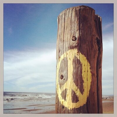 Profile Picture of Tracy Jenkins (@@tracyjsbr) on Twitter
