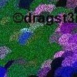 Profile Picture of james mcgarva (@dragst3r2) on Instagram