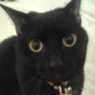Profile Picture of Darla Persing (@Darla-Persing) on Facebook