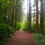 Profile Picture of Loretta Burnett (@arbonneloretta) on Instagram