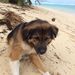 Profile Picture of Adam Grillone (@adamgrillone) on Pinterest