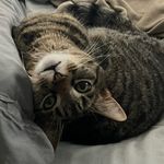 Profile Picture of Mary Manley (@theres_something_about_maryy) on Instagram