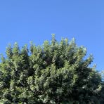 Profile Picture of Pamela Glisson (@Pamela-Glisson) on Facebook