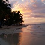 Profile Picture of Madison Harding (@maddie_harding77) on Instagram