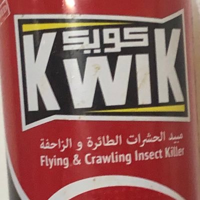 Profile Picture of That Bug Spray That Claps Mosquito Cheecks (@MarcNasr7) on Twitter
