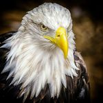 Profile Picture of Jason Dozier (@j.dozier_photography) on Instagram