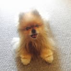 Profile Picture of Lin Iwaskow (@lin.iwaskow) on Facebook