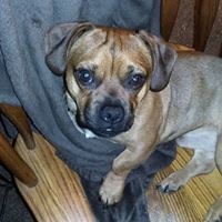 Profile Picture of Sherri Cochran (@sherri-cochran) on Quora