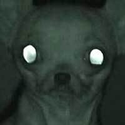 Profile Picture of Tomoki K (@tom_kite) on Twitter