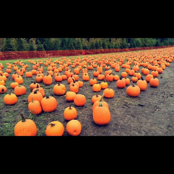 Profile Picture of Courtney Riegler (@courtxo96) on Poshmark