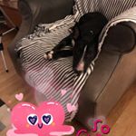 Profile Picture of TONY SQUIRE (@tony_s.x) on Instagram