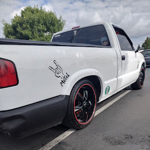 Mike Morello - Tiktok Profile Picture of Mike Morello (@mike.morello) on Tiktok