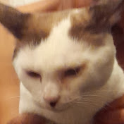 Profile Picture of Angelo Ramos  (@Angeloramosm) on Youtube