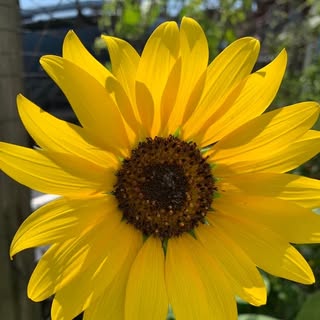 Profile Picture of Janet Carag (@caragjanet) on Instagram