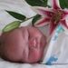 Profile Picture of Monica Winkleblack (@monwink) on Pinterest