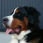 Profile Picture of 𝔹𝕄𝔻 𝕃𝕀𝔼ℕ (@yu_lien_mi) on Instagram