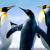 Profile Picture of Ken Randall (@kenrandall9458) on Youtube