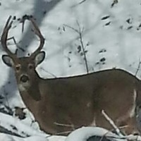 Profile Picture of Richard Shanley (@richard-shanley-2) on Quora