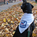 Profile Picture of Andrew & Vanessa Petersen (@ndrewpetersen) on Flickr