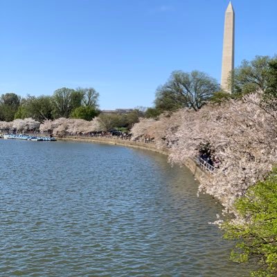 Profile Picture of Sebastian Morales (@iamsebastianmo) on Twitter