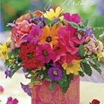 paula Salisbury - Instagram Profile Picture of paula Salisbury (@psalisbury27) on Instagram