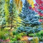 Profile Picture of Phyllis Holland (@llandphyllis434) on Instagram