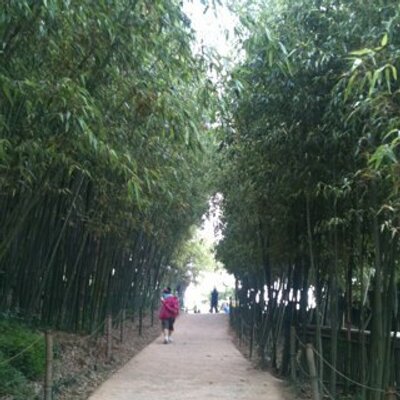 Profile Picture of Gunu, Jo (조근우) (@CouqueDasse) on Twitter