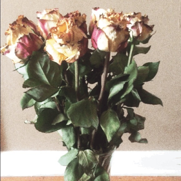 Profile Picture of Shannon Schmelter (@sschmelter) on Poshmark