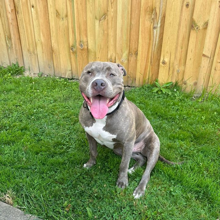 Profile Picture of Terri Simpson (@terri.simpson7) on Tiktok