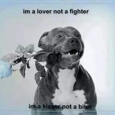 Profile Picture of Kelvin Richardson (@KelvinR41950886) on Twitter