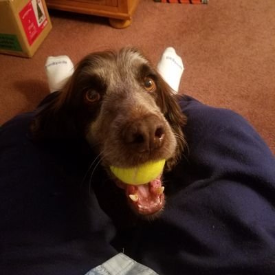 Profile Picture of Greeleyguy (@SteveLemmon7) on Twitter