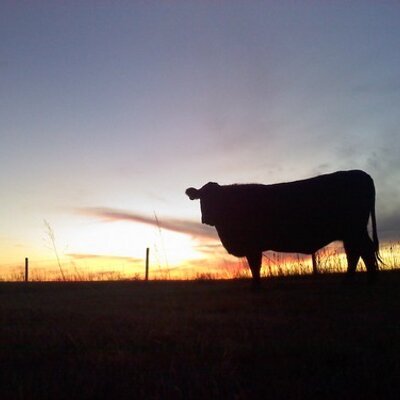 Profile Picture of Dustin (@Fairley_Fine_Ag) on Twitter