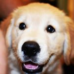 Profile Picture of bruno yakoby (@bruno_yakoby) on Instagram