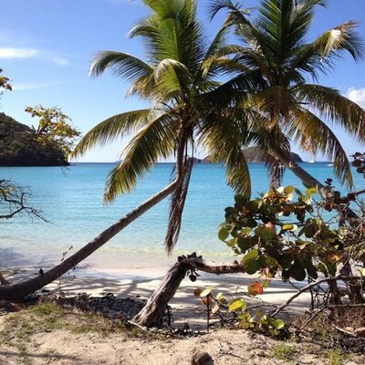 Profile Picture of David Slayton (@davidfslayton) on Twitter