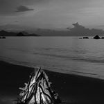 Profile Picture of James Custer (@oceanwavesatnight34) on Instagram