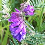 Profile Picture of Bloemetjes van Michèle (@bloemetjesvan) on Instagram