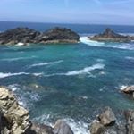 Profile Picture of Sue Harker (@harkersm) on Instagram